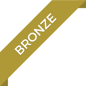 Bronze Website Package