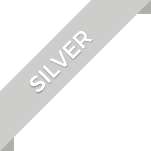 Silver Website Package